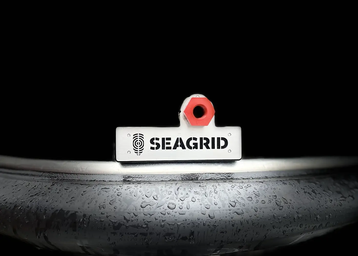 image of Seagrid's website